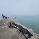 부강펜션 이미지