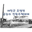 금능리[남] 네이버블로그