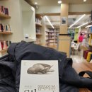 신당5동 작은도서관 이미지