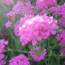 연평2리 이미지