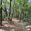 죽전공원 화장실 이미지