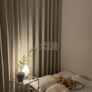 구성그라비스 이미지