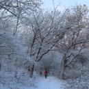 낙조보러가는길 이미지