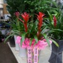 동광모터스 이미지