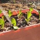 청사초롱마을 이미지