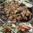 산촌에가면 Daum카페