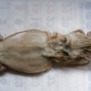 경북건어물 이미지