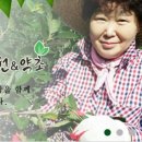 영재농원 - 밀양시 염동길 53 | 영재농원