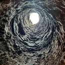 성장요가 이미지