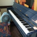 예원피아노학원 이미지