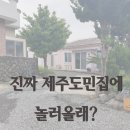 지호민박 | 제주감성숙소, 안덕에 있는 지호네민박 2호점 _마을 다녀온 후기