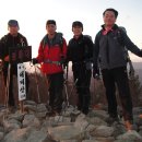 돌산화장실 이미지