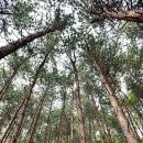 자연에 품 이미지