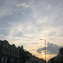 리치펄슨 이미지