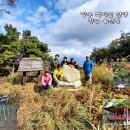 명당 태양광발전소 이미지