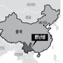 대륙