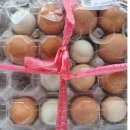 맥타가트 농장 이미지