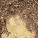 은평-062 이미지