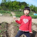 우리농장2 이미지