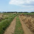 갑을여인숙 이미지