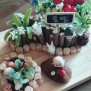 평창군보건의료원 이미지