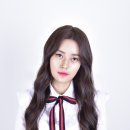 지노컨설팅