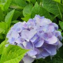 선한상사 이미지