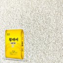 떡미가 이미지