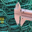 철선농장 이미지