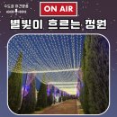 잔잔한 선율 속으로, 클래식 산책 | [공지] 별빛이 흐르는 정원 서울 근교 야간 드라이브 끝판왕