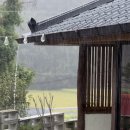 머물다꽃담 | [부여 머물다꽃담] 부여 한옥 감성 가득한 독채 펜션 추천