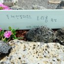 포리롱월정 이미지