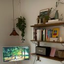 스테이 무림 이미지