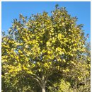 수일농장 이미지