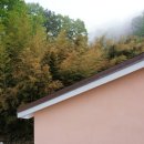 빌라드로이 이미지