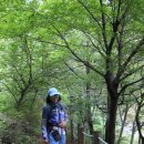 수정4동체육공원 이미지