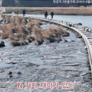 벚꽃역 이미지
