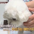 대학로동물병원 이미지