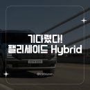 첨단현대주유소 | 팰리세이드 하이브리드 2025 사야 할까? 현대차 출시 정보 정리