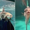 아쿠아리움 이미지