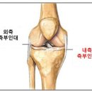 넘버원휘트니스 이미지