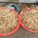 농민건강원 이미지