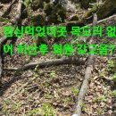 카페동행 - 안동시 강남5길 113-14 | 카페동행