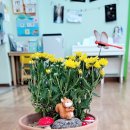 삼죽초교병설유치원 이미지