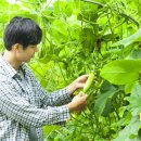 문호농장 이미지