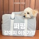 퍼핑 이동가방, N년째 만족하고 사용중인 후기 강아지이동가방 추천