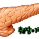 보람샘 이미지