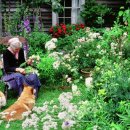 타샤의정원 이미지