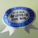 스티케