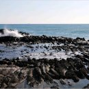 경주주상절리펜션 이미지